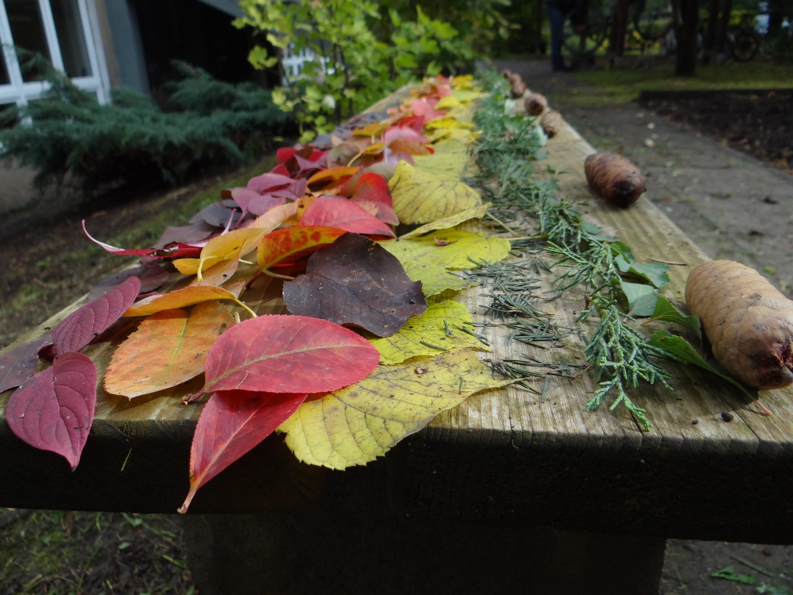 Herbstferien
