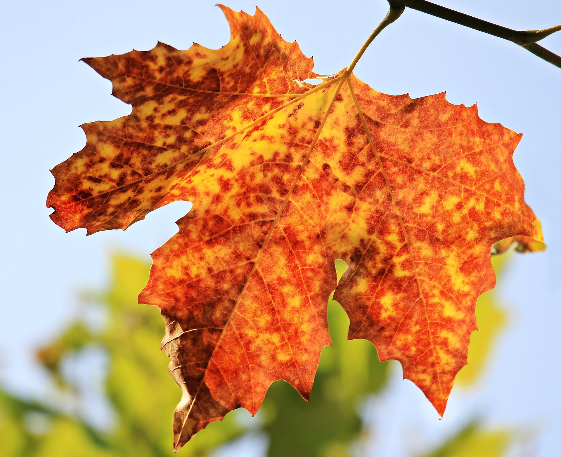 Unsere Herbstferienplanung steht fest